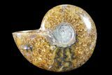 Polished, Agatized Ammonite (Cleoniceras) - Madagascar #88079-1